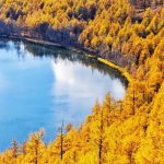 连续7年带队阿尔山,掏心窝子说点大实话_6_32HIKE_秋景-大兴安岭-国庆特辑-来自52tours 我爱旅游网